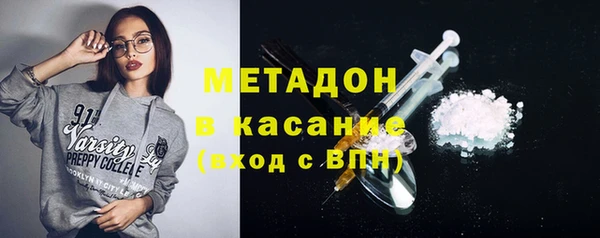 стафф Арсеньев