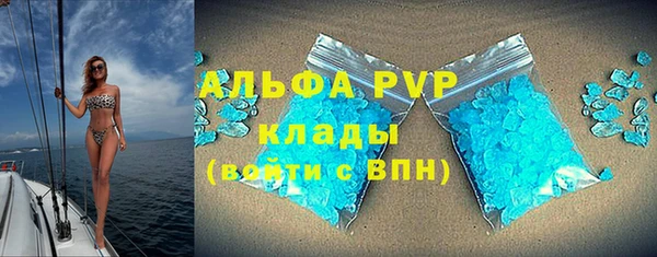 стафф Арсеньев