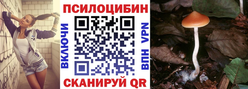 Псилоцибиновые грибы прущие грибы  mega ТОР  Ясногорск 